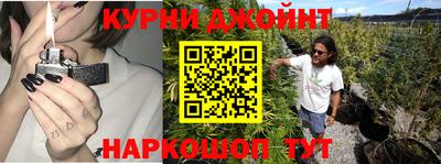 сатива Нальчик