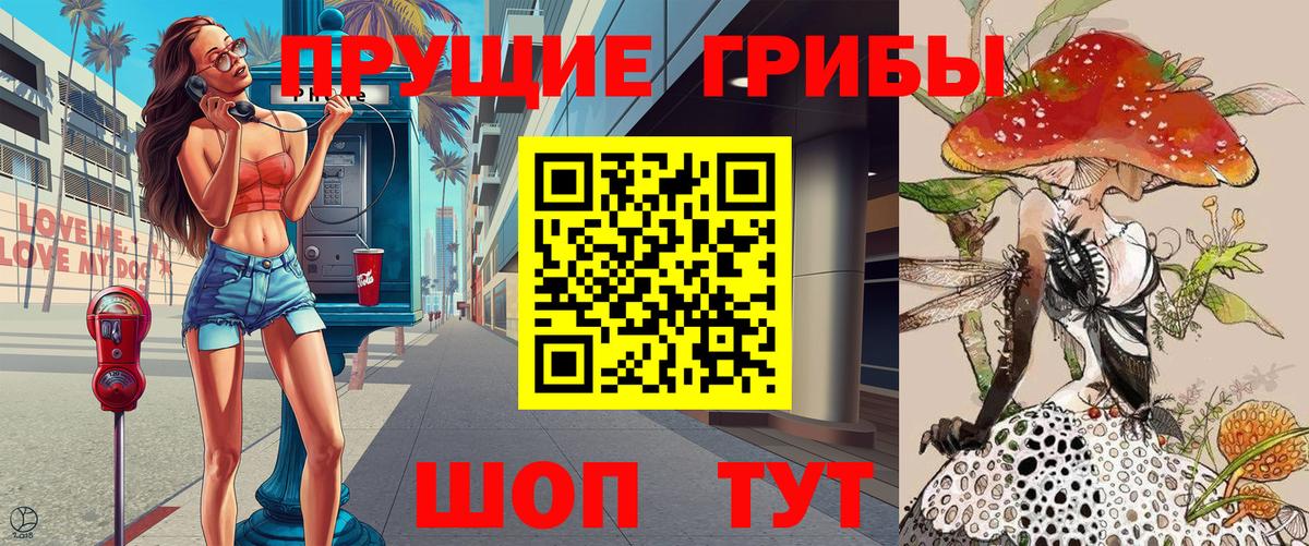 Псилоцибиновые грибы GOLDEN TEACHER  Вход с VPN  Псилоцибиновые грибы GOLDEN TEACHER  Волгоград 